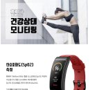 운동록 | 화웨이 토크 밴드 B6 가죽 스트랩 클래식 에디션 /가죽(실버그레이색상)