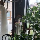 더루아르플라워용인