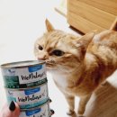 위드피시 이미지