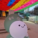 선요가 - 칠곡군 인강8길 36 | 2025 국제선명상대회 : 국제선명상축제, 이숨 선요가 혼자 간 후기