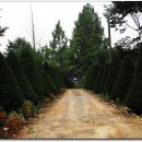 하루네 농장 이미지