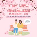 세일관광㈜ 이미지