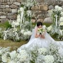 북서울꿈의숲(야외) 이미지