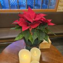 (주) 오금버드나무집 | 송파구고깃집 오금버드나무집 데이트로 다녀온 40년 전통 숯불구이 후기