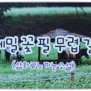 봉평메밀 이미지