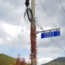 맹씨네 농장 이미지