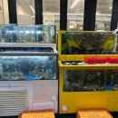 장흥포차 이미지