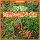 그링농장 이미지