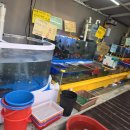 해신수산 이미지