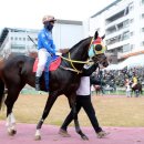 최강축산 - 남구 봉선1로 89 | 최강축산