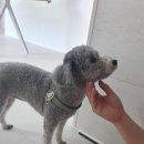 동탄대로1길 이미지