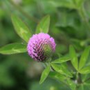 원산목장 이미지