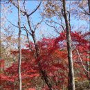 지계2교 | 영남알프스<182>청수우골,쥐바위
