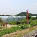 원정 농장 이미지