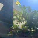 Gold coast | [旅行] 호주 골드코스트 🏄‍♀️서퍼스 파라다이스 🏄‍♂️VOCO Gold Coast, an IHG hotel 이용 후기