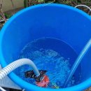 교리초등학교 이미지