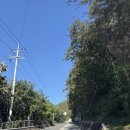 희선목장 | 아기랑 춘천 당일치기 여행_ 해피초원목장, 통나무집 숯불닭갈비, 카페 감자밭