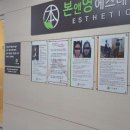 영에스테틱 네이버블로그