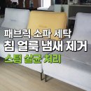 도시 강아지 | 파주 운정신도시 패브릭 소파 강아지 침 얼룩 냄새 세탁 청소 후기