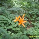 김천(서울)휴게소 이미지