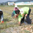 제5회 전국동시지방선거 나주시 당선자 현황 이미지