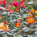 기차마을 당구장 이미지