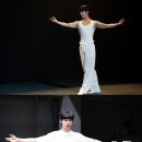 플라이 이미지