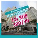 거성공인중개사사무소 이미지