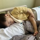 케이9모텔 이미지