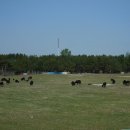 용촌농장 이미지