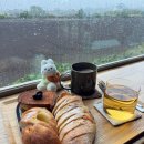 제주가는날 | 가는곶 세화🥐☕ ㅣ 제주 세화 카페 추천, 비 오는 날 더 좋았던 가는곳 세화 베이커리 후기