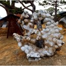 강진미술관 이미지