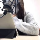 참우리 이미지