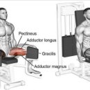 고릴라 멀티짐 이미지