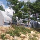 두산농원