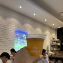 고릴라 비치 이미지