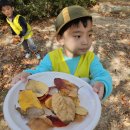 🍁찾아가는 숲활동: 가을숲에서 놀아요🍂 이미지