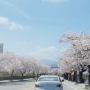 경포천로 이미지