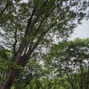 크로키키브라더스 | 서울 아이와 가볼만한 축제 추천｜노원기차마을 축제 후기