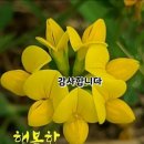 미소사랑
