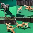 놀러오개 불로점 이미지