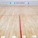 고양어울림누리 별무리인조잔디구장 이미지