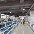 포항수협송도활어회센터 이미지