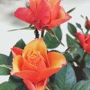 근해농장 이미지