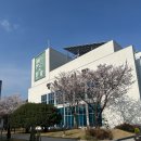 공룡 애니멀 쇼 | 부산 가족공연 추천｜공룡 애니멀 쇼 후기 (34개월 아이 반응 + 장유 문화센터 주차 팁)