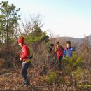 어곡환종주(2월 釜·蔚 합동지부산행) 이미지