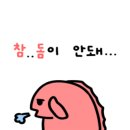 슈퍼붕 낚시카페 이미지