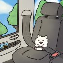 [Diary] 7,8月 : 내가 알던 곳부터 낯선 곳도