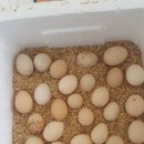 동남부화장 이미지