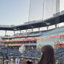 에이스5차점 | 2025 한국시리즈 5차전 엘지 트윈스 우승 직관 후기 (드디어 V4 🏆, 도영 애국가)